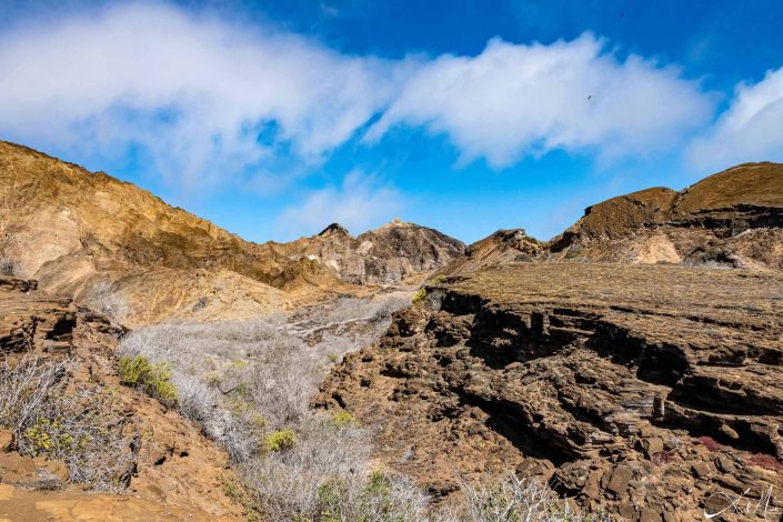 Volcanic terrain in Galapagos