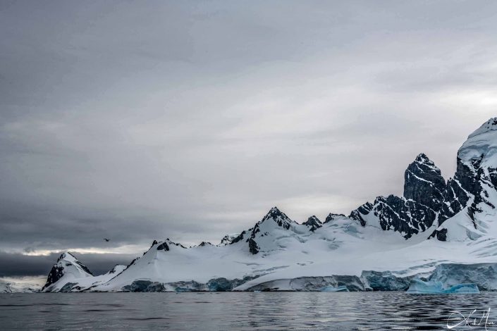 Best scenic photo of icy mountains by the sea in Cuverville Island