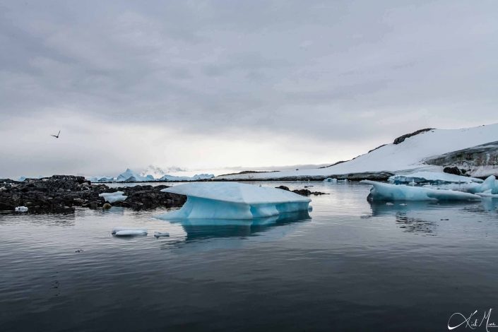 Best scenic photo of icebergs near Cuverville island