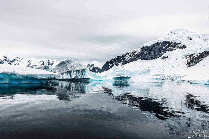 Best scenic photo of icebergs near Cuverville island