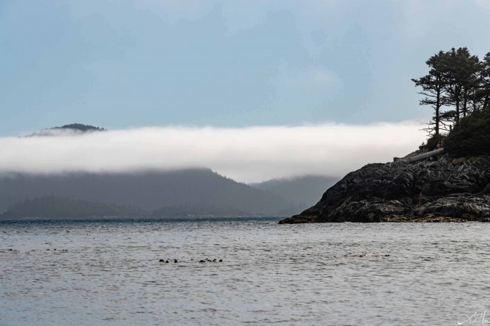 Scenic photo of a strip of fog between the mountains and the sea