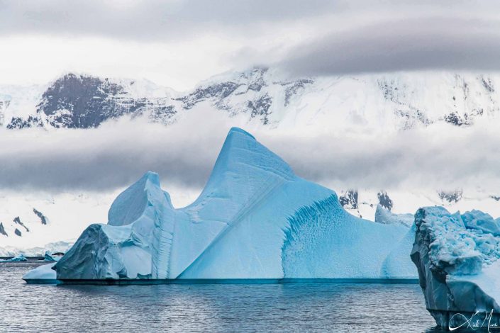 Best photo of an blue iceberg near Cuverville island