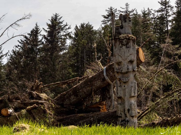 Totem pole in Sgang Gwaay, looks a bit spooky with smile