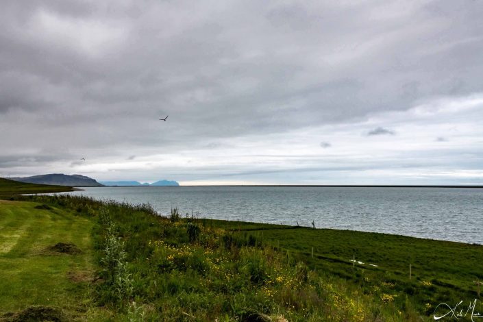 Best scenic photo with green coastline and silvery blue waters