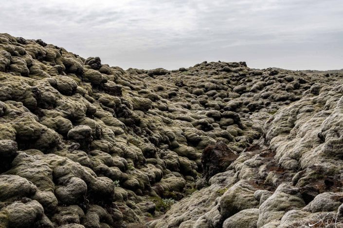 Best photo of rocky and mossy Icelandic terrain
