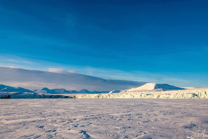 Glacier by the frozen sea