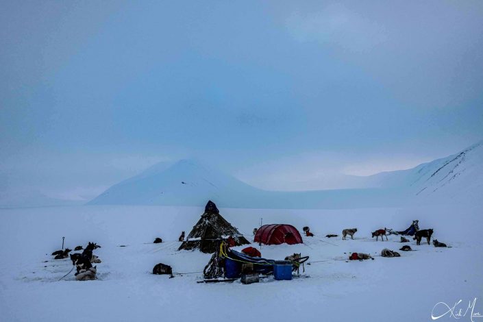 Camping the ancient way on a glacier with dog sledges and a tent