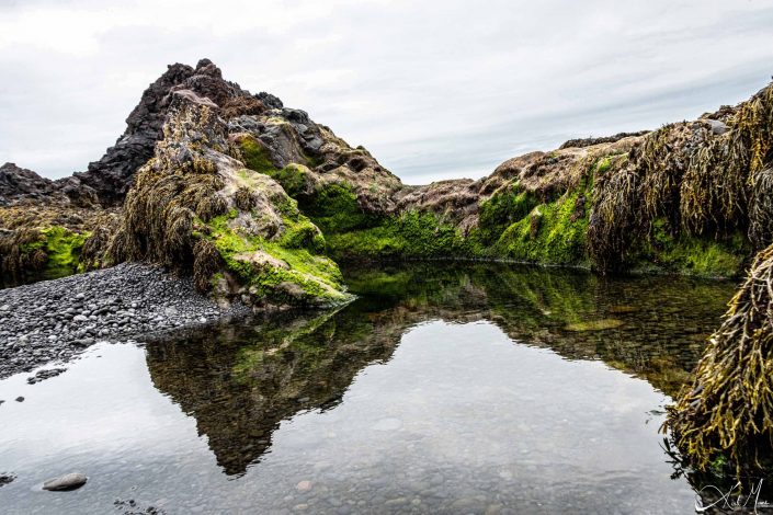 Best photo of Djupalonssandur and Dritvik landscape