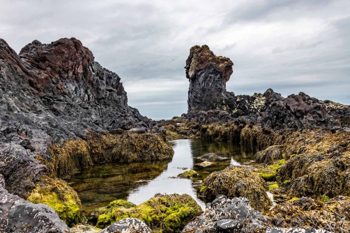 Best photo of Djupalonssandur and Dritvik landscape