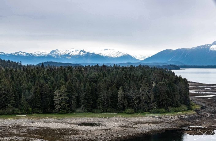 Scenic photo with snow dusted mountains in the background and conical trees in the foreground