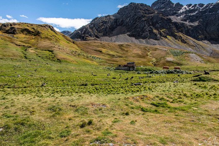 Scenic picture of landscape in South Georgia