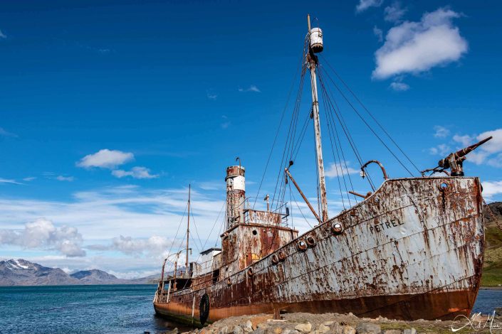 Photo of one of the old whaling ships called 'Petrel' which is all rusty now and stranded at beach in Grytviken