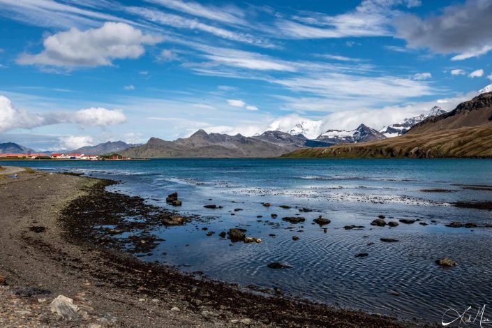 Scenic photo of Grytviken beach with snowcapped mountains in the background and bright blue sea waters along with beautiful blue sky