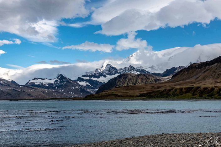 Scenic photo of a beach in South Georgia with snow capped mountains in the background and blue silvery waters