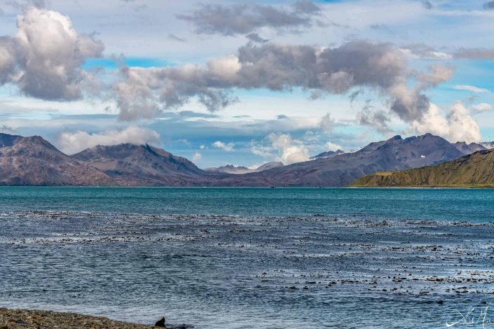 Scenic photo of a beach in South Georgia with snow capped mountains in the background and blue silvery waters