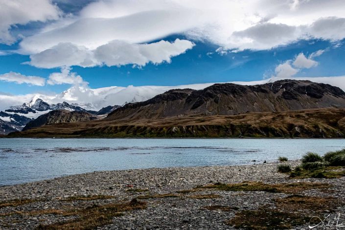 Scenic photo of a beach in South Georgia with snow capped mountains in the background and blue silvery waters