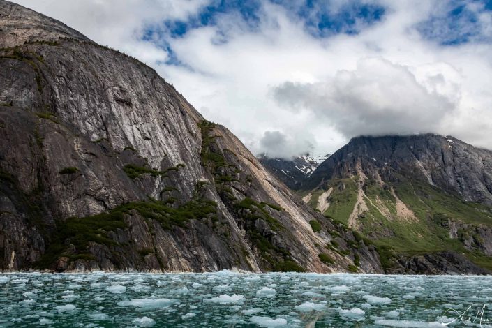 Green-grey mountains along with green water with bergy bits in the front