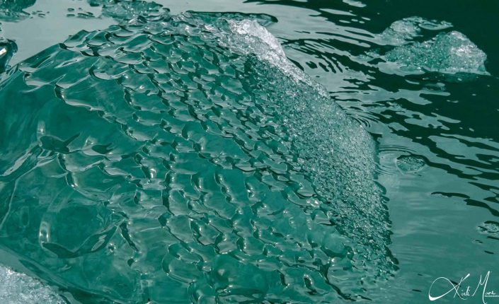 Beautiful close-up photo of piece of a glacier floating in the waters