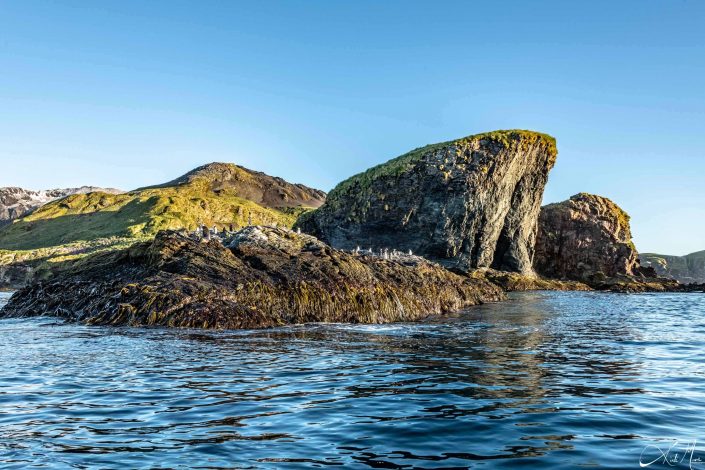 Beautiful landscape in South Georgia with blue sea waters