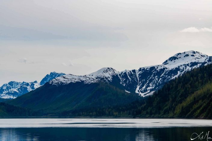 Snow capped mountains with green conical trees and steel-silvery waters in the front