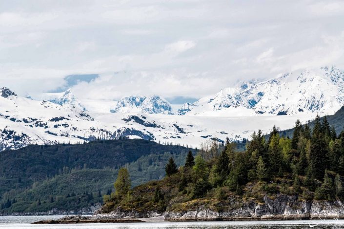 Snow capped mountains with green conical trees and steel-silvery waters in the front