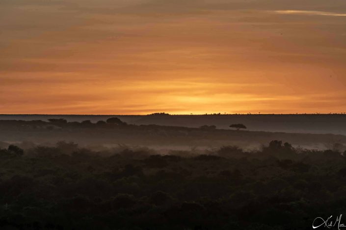 Early morning sunrise in Masai mara, Kenya