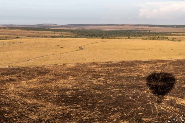 Picture of Masai mara from top, with shadow of the hotair balloon visible on the right