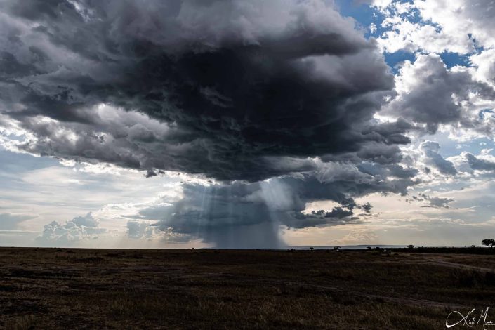 Dramatic stormy photo of evening in Masai mara