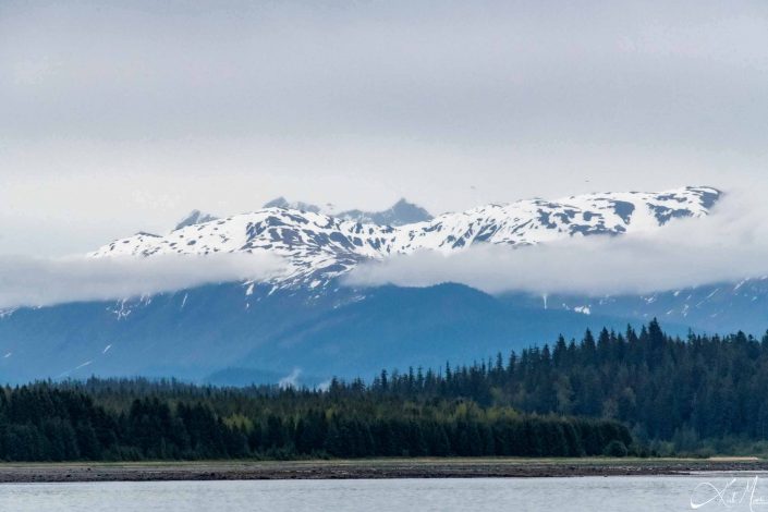 Snow capped mountains with green conical trees and silvery waters in the front