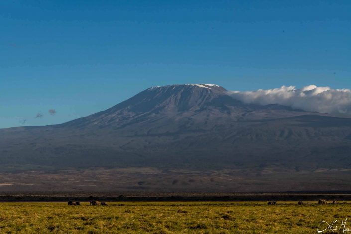 Scenic photo of Mount Kilimanjaro