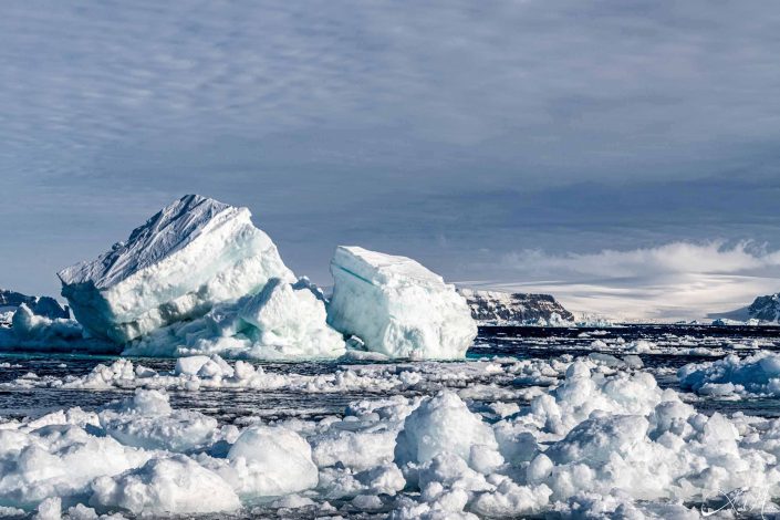 Best scenic photo of icebergs in antarctic sound