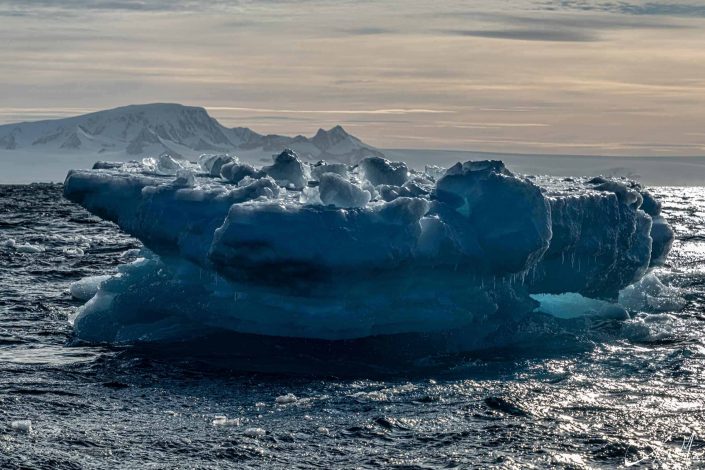 Best scenic photo of blue iceberg in antarctic sound