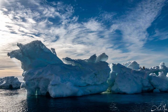 Best scenic photo of blue iceberg in antarctic sound