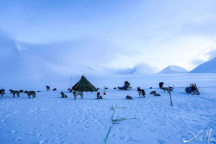 Camping the ancient way on a glacier with dog sledges and a tent