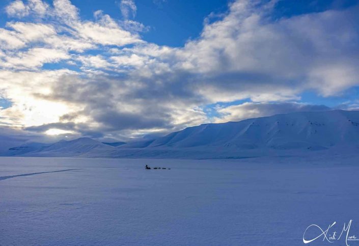 Best breathtaking photo of a snow covered landscape with a dog sledge