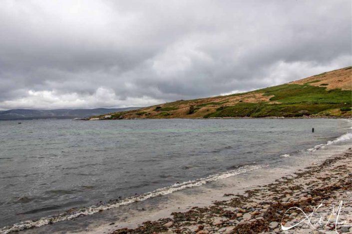 Best photo of a beach in Falkland Islands