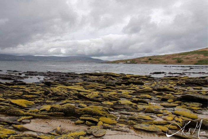 Best photo of a beach in Falkland Islands