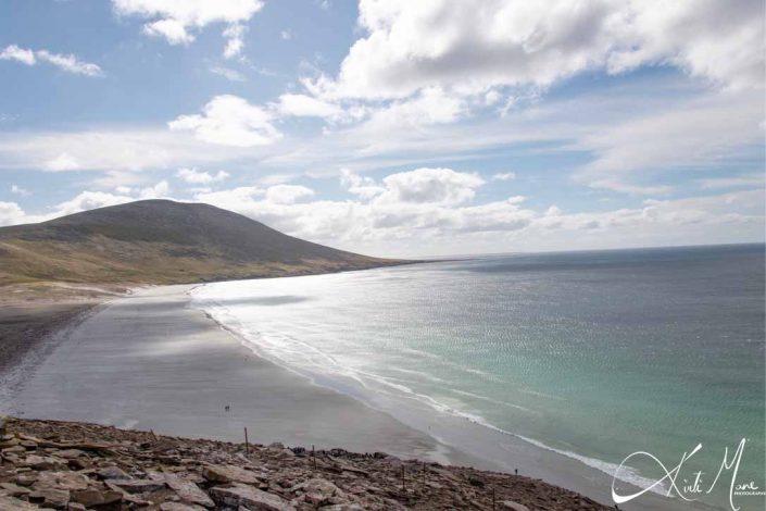 Best photo of Saunders island beach, Falkland Islands